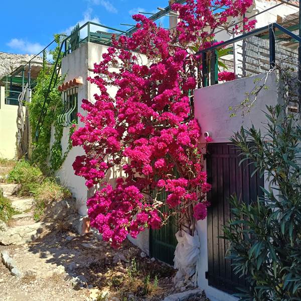 cb8a9e01-267d-4d6e-839e-a11cf84cf743-photo-gallery