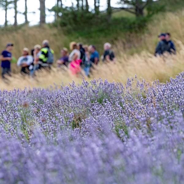 D4V_2025.07.08_Randonne´e-08-photo-gallery