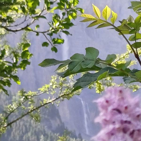 La cascade du cirque de Gavarnie-photo-gallery