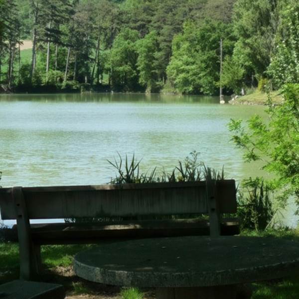 table pre`s d'un plan d'eau-photo-gallery