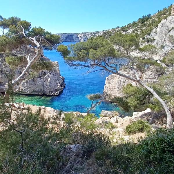 421c4d8c-721b-4fcd-8098-f05d42855cd0-photo-gallery