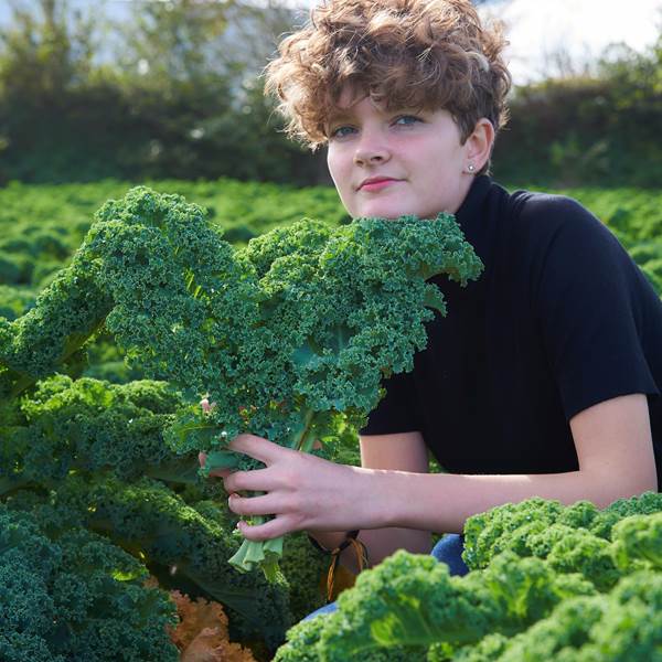 Tourisme agricole Saint-Pol-de-Léon-photo-gallery