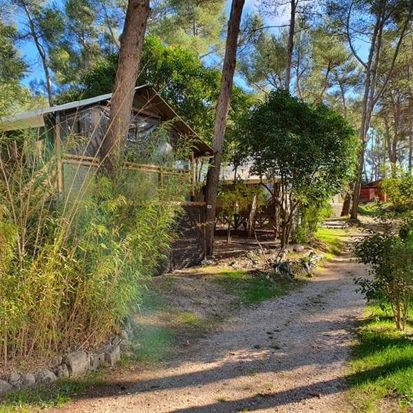 ECO LODGE GARLABAN-photo-gallery