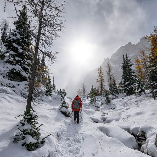 RANDONNEE RAQUETTES-photo-gallery