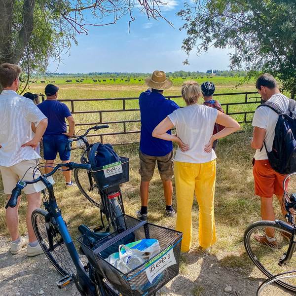 circuit-guide-cailar-3-photo-gallery