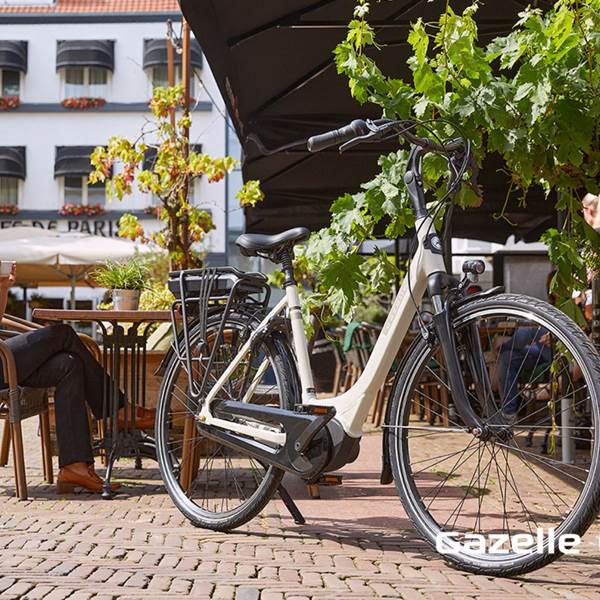 gazelle_stationsbees_cafe-photo-gallery