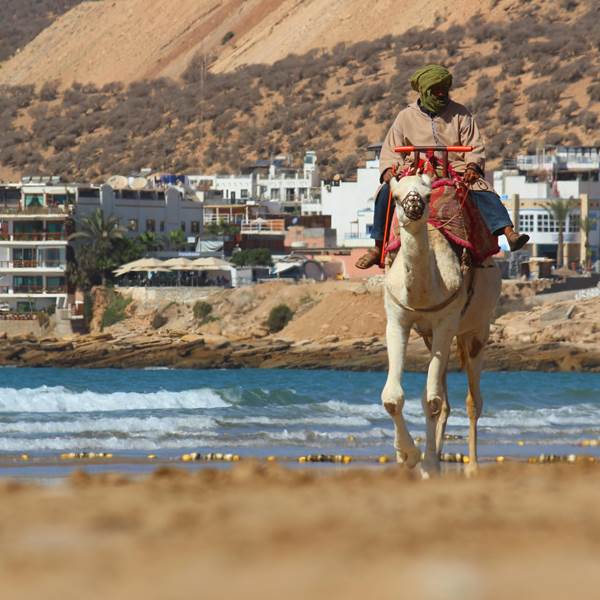 pexels-ayoub-dotcom-31930849-6993164-photo-gallery