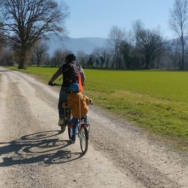 ve´lo sur une route de campagne-photo-gallery