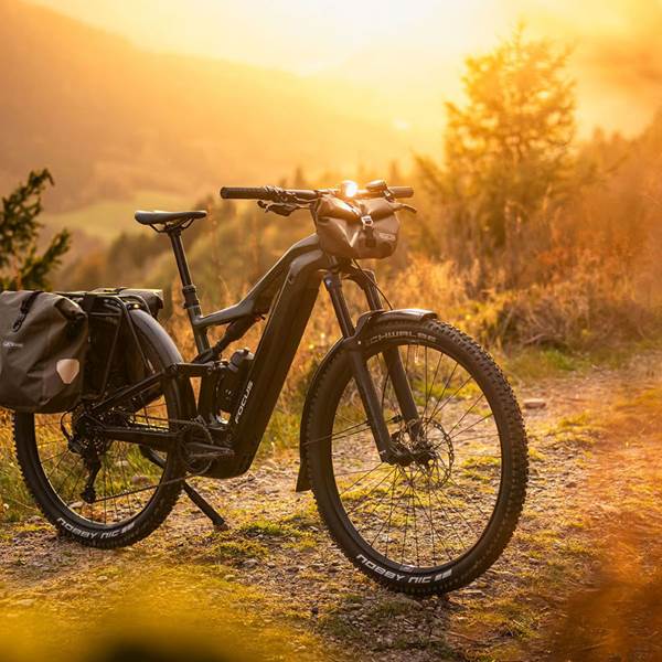 focus_stationsbees_velo-photo-gallery