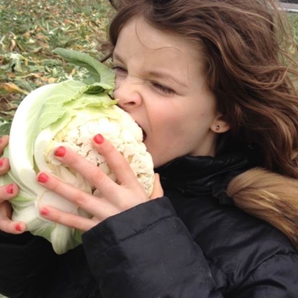 img_0842_5-photo-gallery