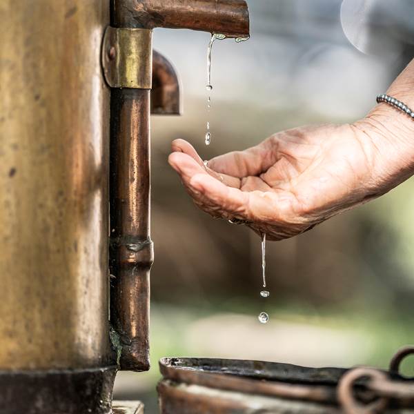 D4V_2025.07.08_Distillation Andre´-20-photo-gallery