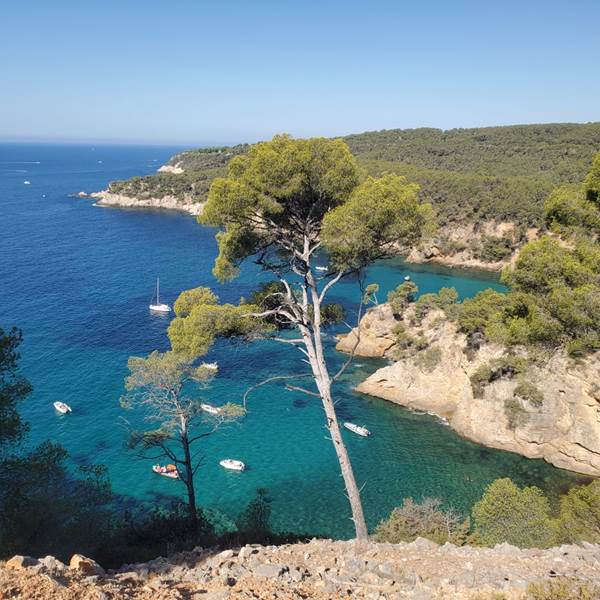 d2cbafaa-0588-41be-8121-8659a9daa923-photo-gallery