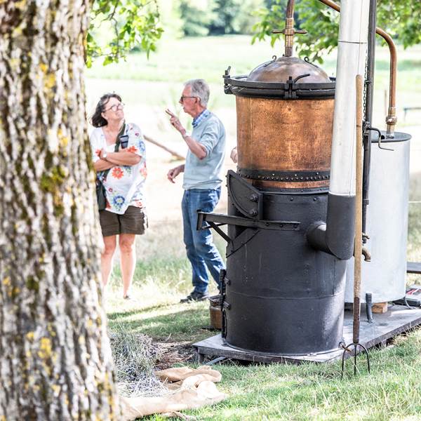 D4V_2025.07.08_Distillation Andre´-11-photo-gallery