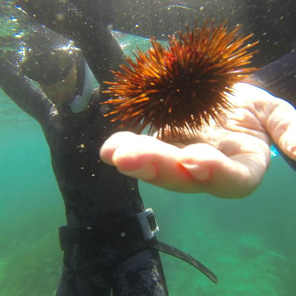 CALANQUE PORT DALON-photo-gallery