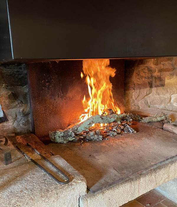 Feu de chéminée-Petit Gîte