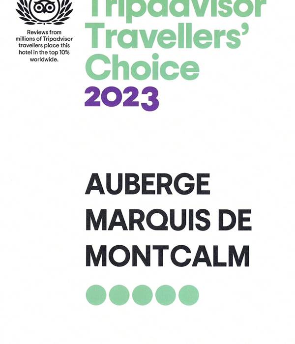 Sans titre