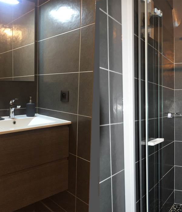 Salle de bain avec douche et toilettes