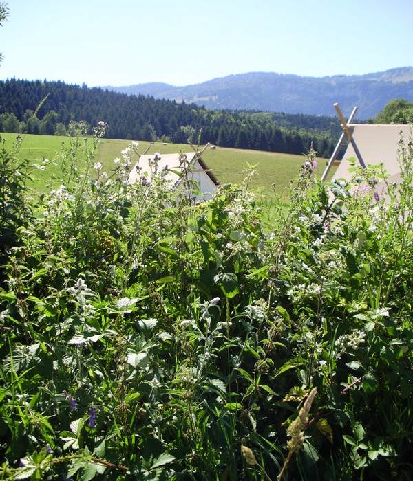 paysage