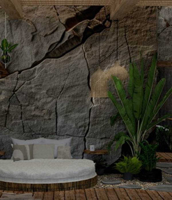 Suite Manika projet