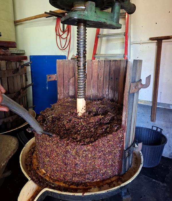 vigneron indpendant alsace