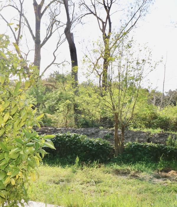 Gites Terra di a Bravona - Appartement O'Ma Vue sur Jardin
