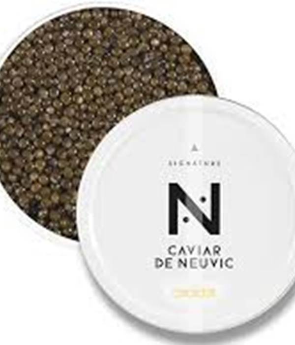 caviar oscietre