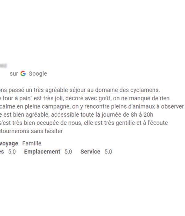 Avis Google 2009