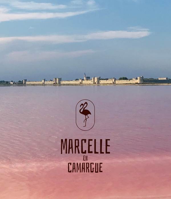 Remparts d'Aigues-Mortes vus des Salins