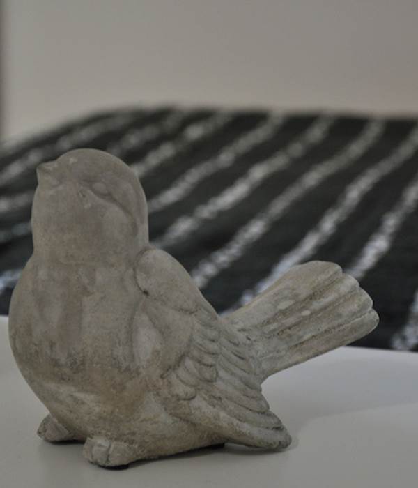 Un oiseau dans son nid !