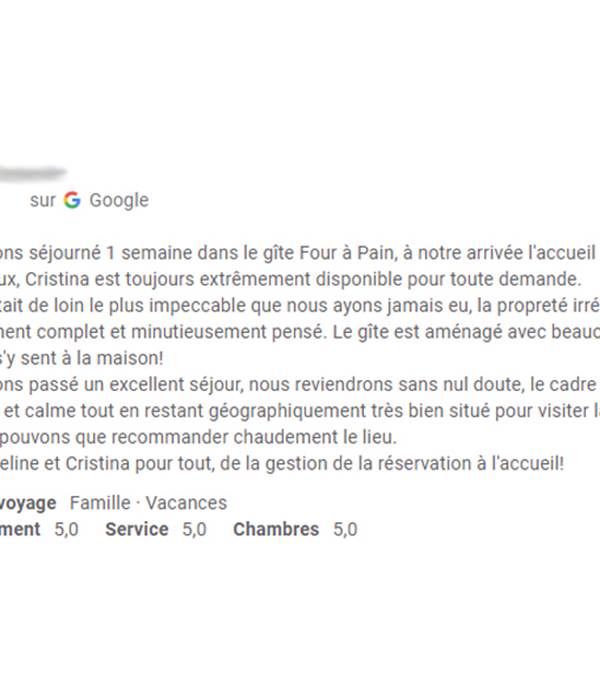 Avis Google 2008