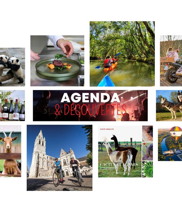 Agenda et decouvertes autour du Domaine des Cyclamens