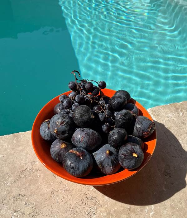 Figues fraiches petit déjeuner Marcelle en Camargue