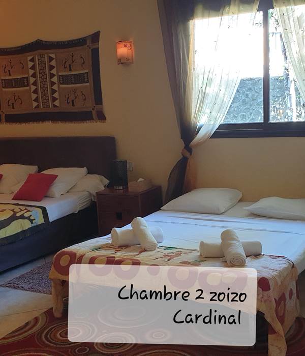 Chambre 2 Zoizo Cardinal 30m2