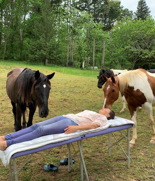 soin japonais: Reiki avec les chevaux