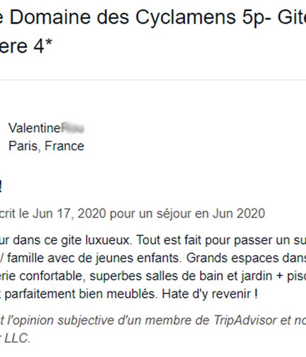 Avis Google 20062