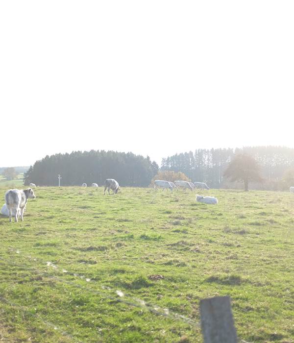 Balade dans le village