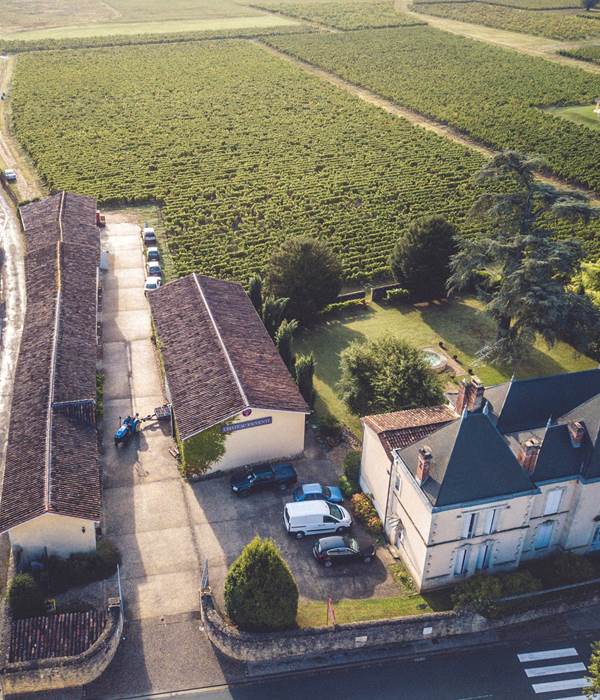 Jouvente et ses vignes (2)
