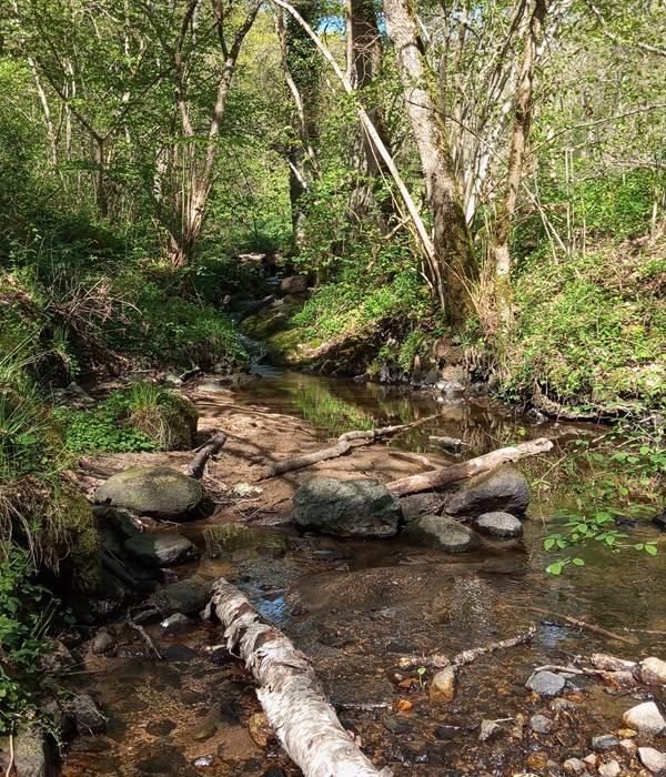 ruisseau des Grosliers