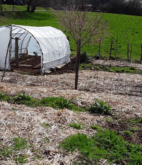 LE POTAGER S'EVEILLE