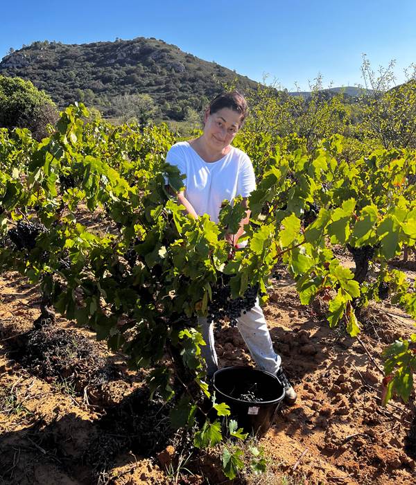 Petite pose dans les carignans