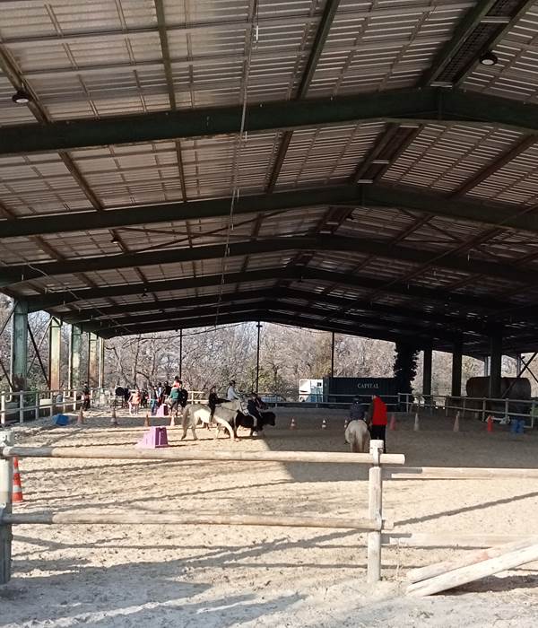 Le Mas Palegry chambres d'hôtes Perpignan - A 50 mètres du centre équestre
