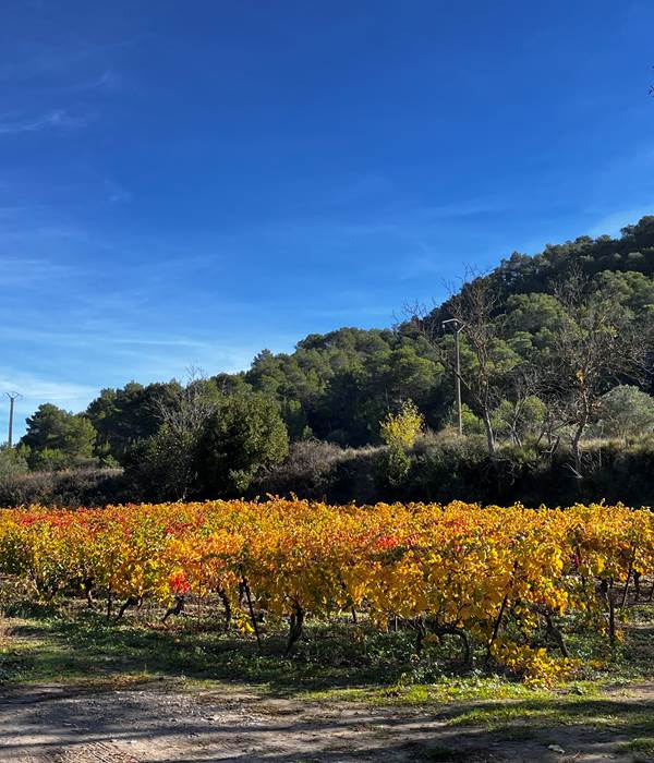 Les Corbieres à l'automne et au printemps , c'est top pour randonner