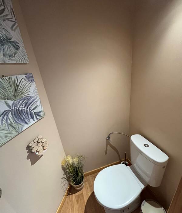 image3 (2)