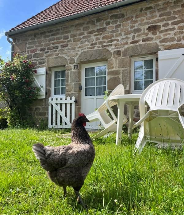 Extérieur au printemps - Gîtes Vassivière Le Fer A Cheval