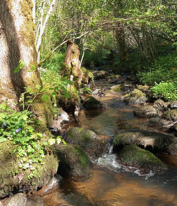 ruisseau des Grosliers