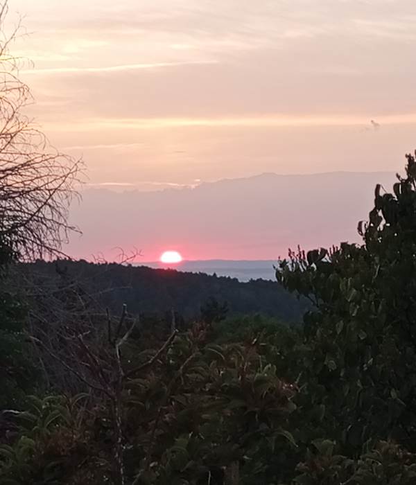 Lever du soleil visible du jardin