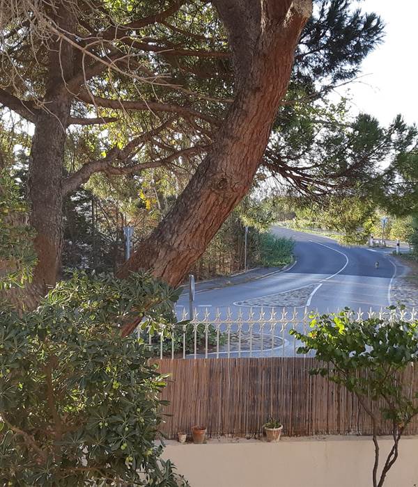 Le Mas Palegry chambres d'hôtes Perpignan - chambre n°1 suite avec vue sur jardin