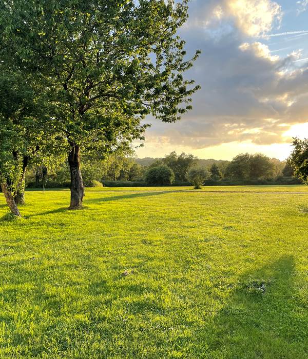 Grand parc pour jouer, courir