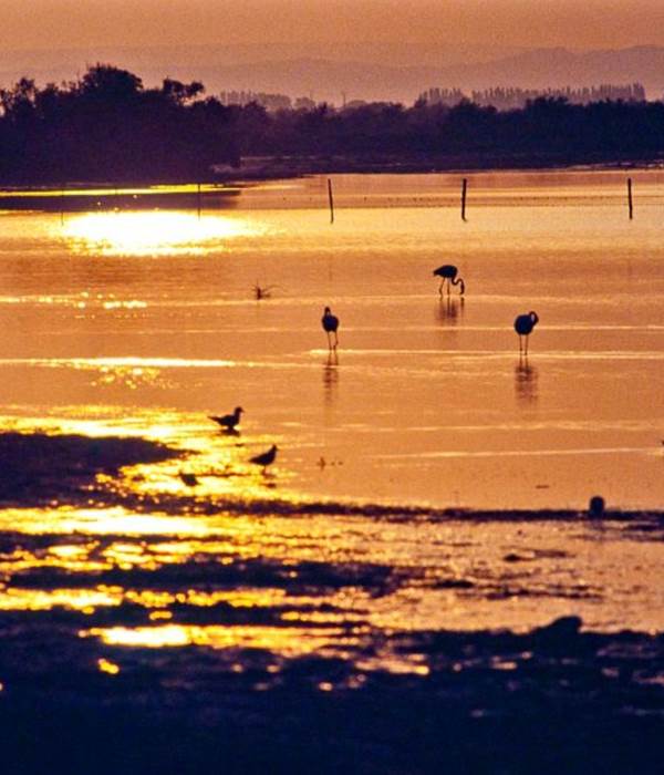 Etang_de_Vaccarès_en_Camargue