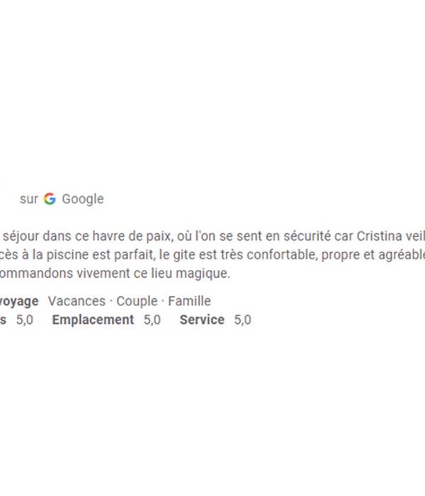 Avis Google 20091